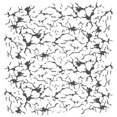 Obraz premium background crack, grunge texture, Fractured texture ground vector illustration.