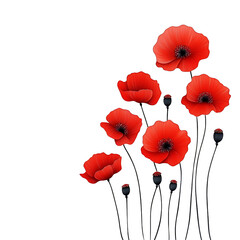 Obraz premium A bouquet of poppies, wildflower aesthetic, impressionist painting style, vivid red tones, isolated on white background