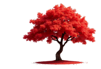 tree with red leaves