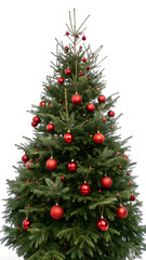 An evergreen christmas tree decorated with red balls isolated on a transparent background.
