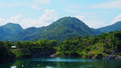 Green forest