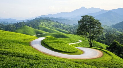A winding road in a lush green field with a tree in the middle