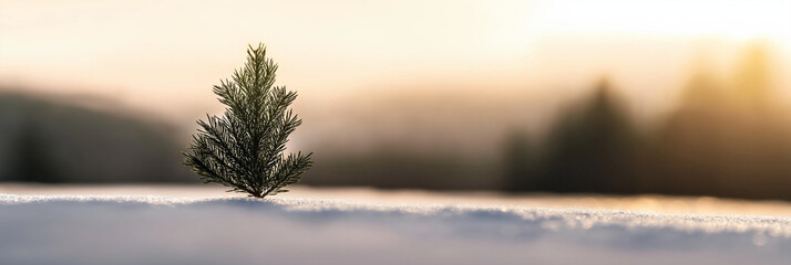 A minimalistic depiction of a small evergreen tree set against a calm, snowy winter scene under soft light, symbolizing endurance, tranquility, and nature's beauty.