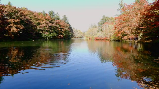 A lake in Vibrant Fall Colors
