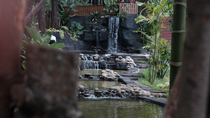 small waterfall in the middle of a pine forest collecting cool and beautiful water, trawas mojokerto 22 november 2024