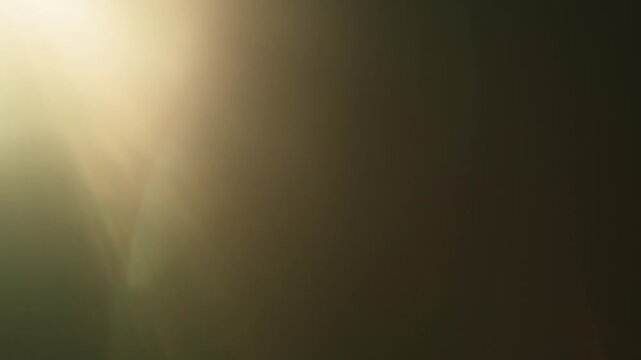 Real lens flare with strong sun backlight and light leaks