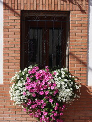 Beautiful window decorated with colorful aromatic natural flowers