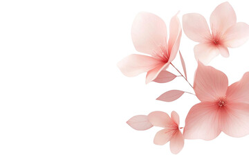 Embracing Elegance. Detailed and Realistic Aesthetic Arrangement