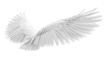 Radiant Angel Wings. Manifesting divine beauty concept