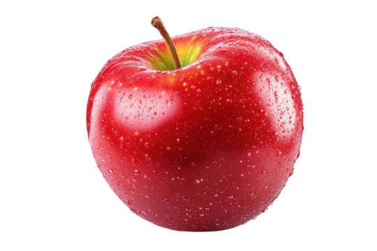 Detailed Realistic Arrow. Enhance your design with this stunning arrow concept