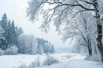 Obraz premium Surreal Winter Wonderland with Snowy Forest and Blank Greeting Card Design for Watercolor Art