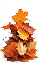 Fototapeta premium A vibrant pile of autumn leaves showcasing a mix of orange and brown hues.