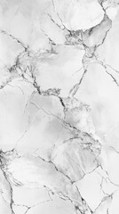 Obraz premium Elegant marble texture with gray veining on a white background, ideal for modern interiors and design projects.