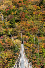 紅葉に染まる山々の中にたたずむ吊り橋