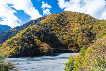 紅葉に染まる山々の中にたたずむ吊り橋