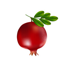 Realistic pomegranate fruit with leaves