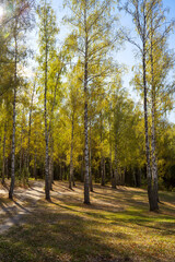 Obraz premium summer landscape with river, road and clouds in the blue sky