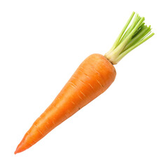 carrot