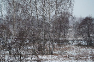 winter frozen river covered with snow, with birches on the banks