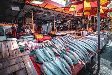 Einblick in den Jagalchi-Markt - Fischmarkt in Busan Südkorea. Verschiedene Fische liegen auf der Auslage für den Verkauf bereit.