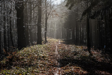 Seasonal natural scene, Kremnica Mountains, Slovakia