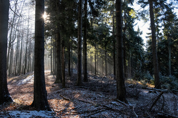 Seasonal natural scene, Kremnica Mountains, Slovakia