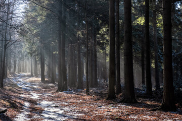 Seasonal natural scene, Kremnica Mountains, Slovakia