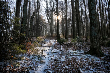 Seasonal natural scene, Kremnica Mountains, Slovakia