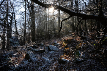 Seasonal natural scene, Kremnica Mountains, Slovakia