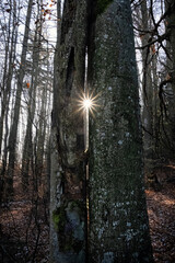 Seasonal natural scene, Kremnica Mountains, Slovakia