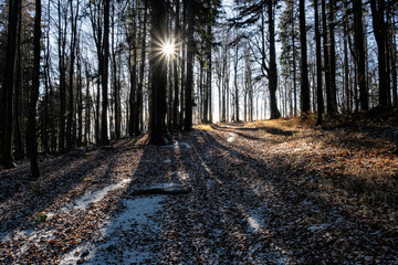 Seasonal natural scene, Kremnica Mountains, Slovakia