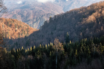 Seasonal natural scene, Kremnica Mountains, Slovakia