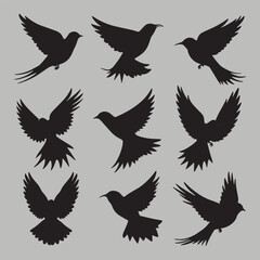 Obraz premium collection of birds silhouette
