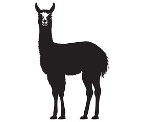 Fototapeta premium llama cartoon illustration vector design, Minimalist llama silhouette icon