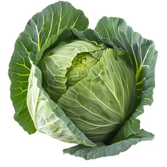 Fototapeta premium Fresh Green Cabbage Surrounded by Bright Green Leaves Close-up Isolated on a Transparent Background