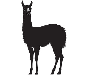 Fototapeta premium llama cartoon illustration vector design, Minimalist llama silhouette icon