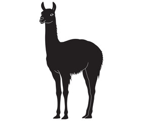 Fototapeta premium llama cartoon illustration vector design, Minimalist llama silhouette icon