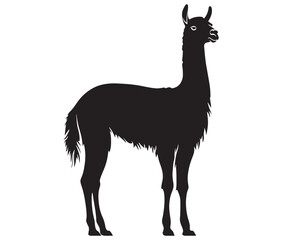 Fototapeta premium llama cartoon illustration vector design, Minimalist llama silhouette icon