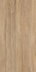 Naklejka premium Textures of Wood,