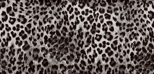 Obraz premium Leopard skin pattern, animal leather seamless design