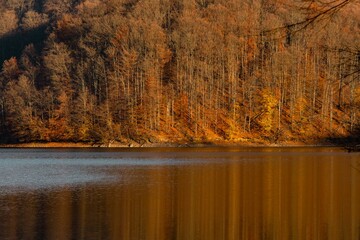 Fototapeta premium Serene forest lake with autumn reflections