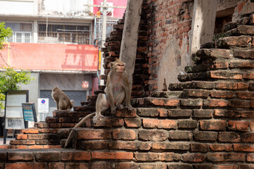 Phra Prang Sam Yot or Phra Prang Sam Yod is a 13th-century Angkorian temple in Lopburi, Thailand. The temple is currently a popular tourist destination.