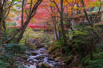 岩屋堂公園　紅橋付近の紅葉（愛知県瀬戸市）