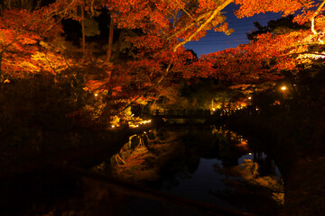 岩屋堂公園のライトアップされた紅葉とせせらぎのリフレクション
