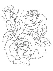 Beautiful black-and-white rose illustration with fine details, ideal for coloring books. Great for art enthusiasts, floral lovers, and creative projects.