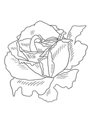 Beautiful black-and-white rose illustration with fine details, ideal for coloring books. Great for art enthusiasts, floral lovers, and creative projects.