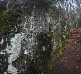 Sentier National St-Mathieu-Du-Parc 23 Novembre 2024 - Photostacking