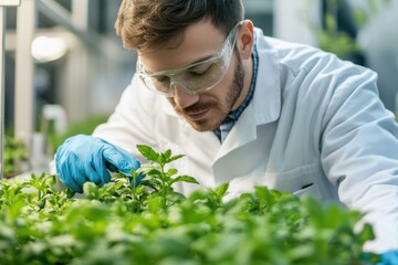 Scientist examines plants in a greenhouse focusing on growth and health in spring