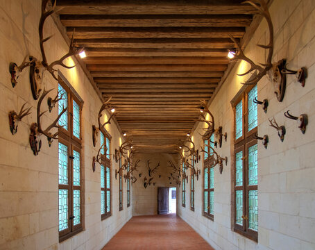 A long hallway in a French chateau features deer antlers, reflecting a historical hunting tradition