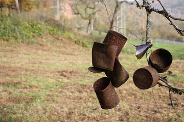 Rost